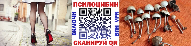 Галлюциногенные грибы Magic Shrooms Купить Райчихинск